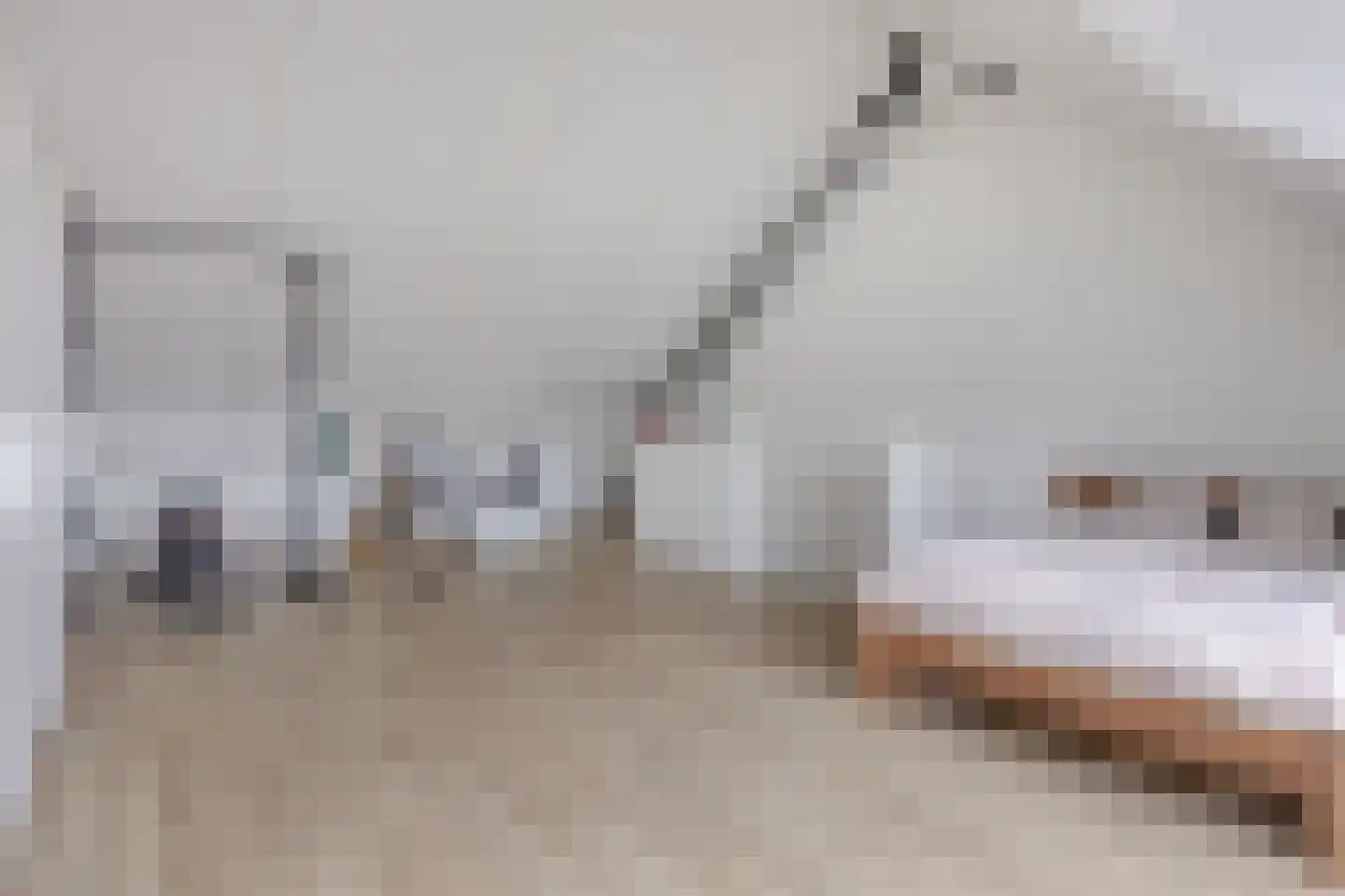 Grenenhout 26 Eindhoven thumbnail 31