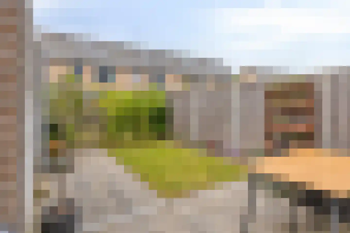 Grenenhout 26 Eindhoven thumbnail 35