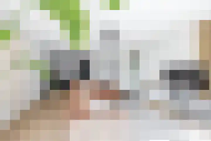 Grenenhout 3 Waddinxveen thumbnail 11