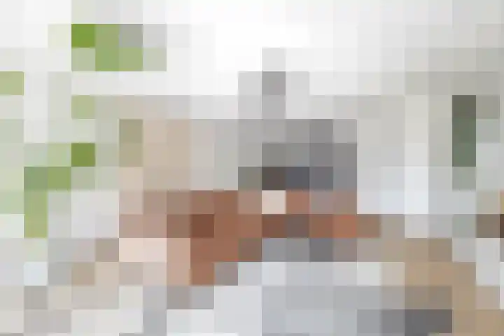 Grenenhout 3 Waddinxveen thumbnail 12