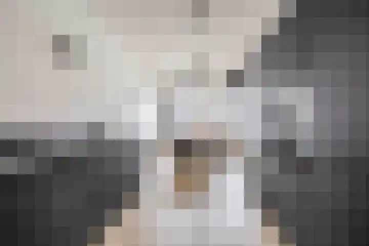 Grenenhout 3 Waddinxveen thumbnail 13