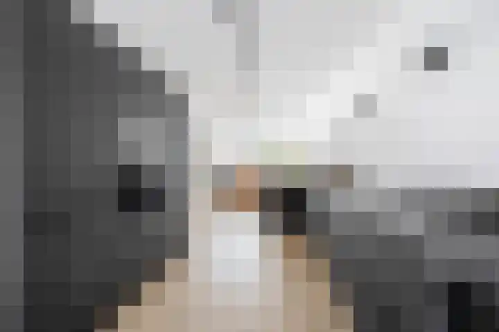 Grenenhout 3 Waddinxveen thumbnail 15
