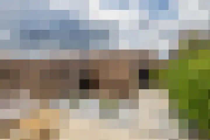 Grenenhout 3 Waddinxveen thumbnail 17
