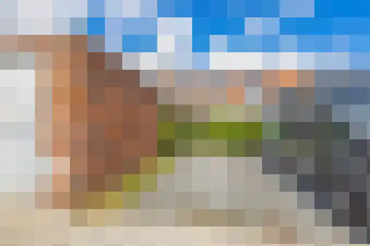 Grenenhout 3 Waddinxveen thumbnail 22