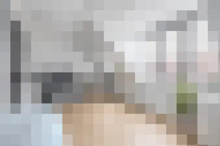 Grenenhout 3 Waddinxveen thumbnail 4