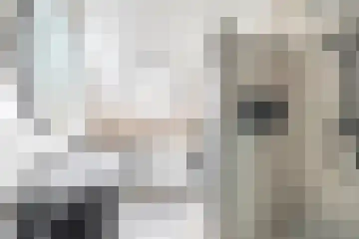 Grenenhout 3 Waddinxveen thumbnail 5
