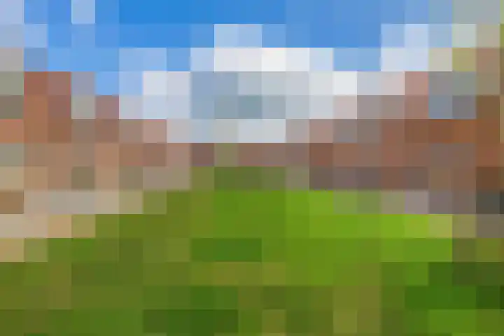 Grenenhout 3 Waddinxveen thumbnail 7