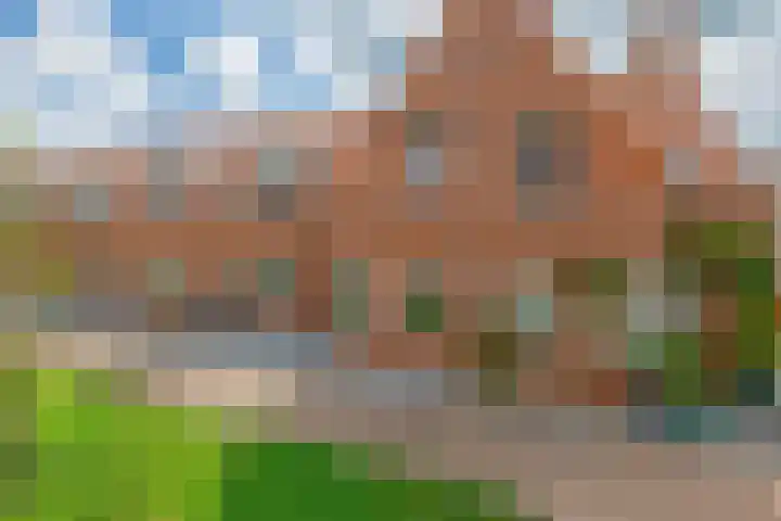 Grenenhout 3 Waddinxveen thumbnail 8