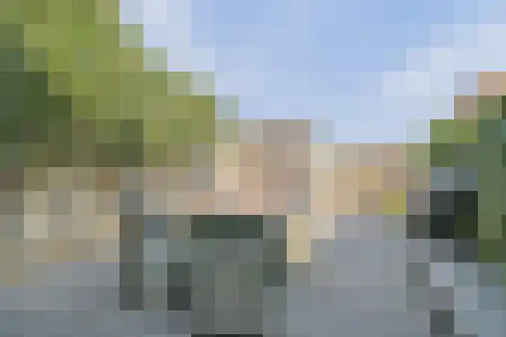 Grenenhout 4 Barendrecht thumbnail 31