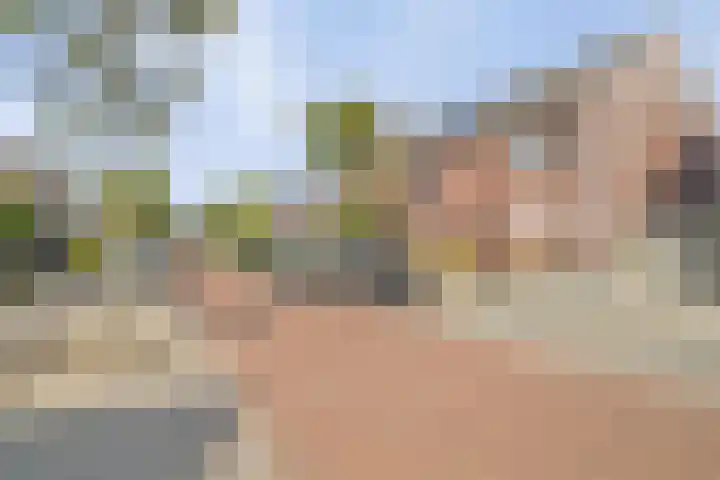 Grenenhout 4 Barendrecht thumbnail 37
