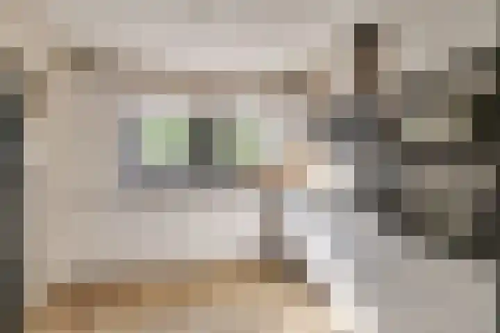 Grenenhout 4 Barendrecht thumbnail 4