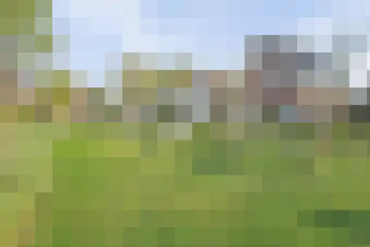 Grenenhout 4 Barendrecht thumbnail 6
