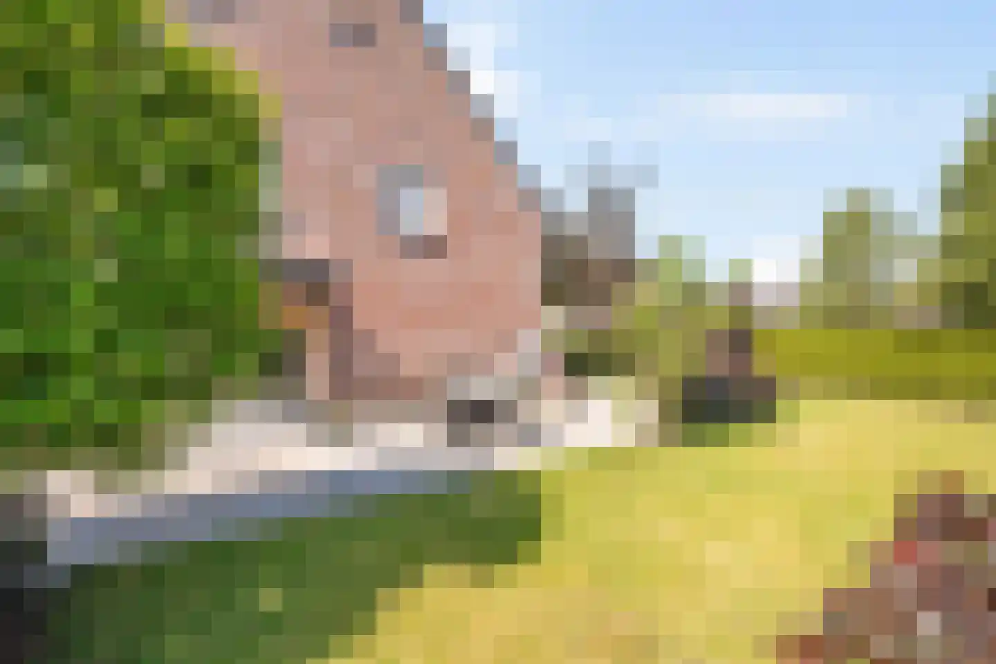 Grens 13 Baarle-Nassau thumbnail 29