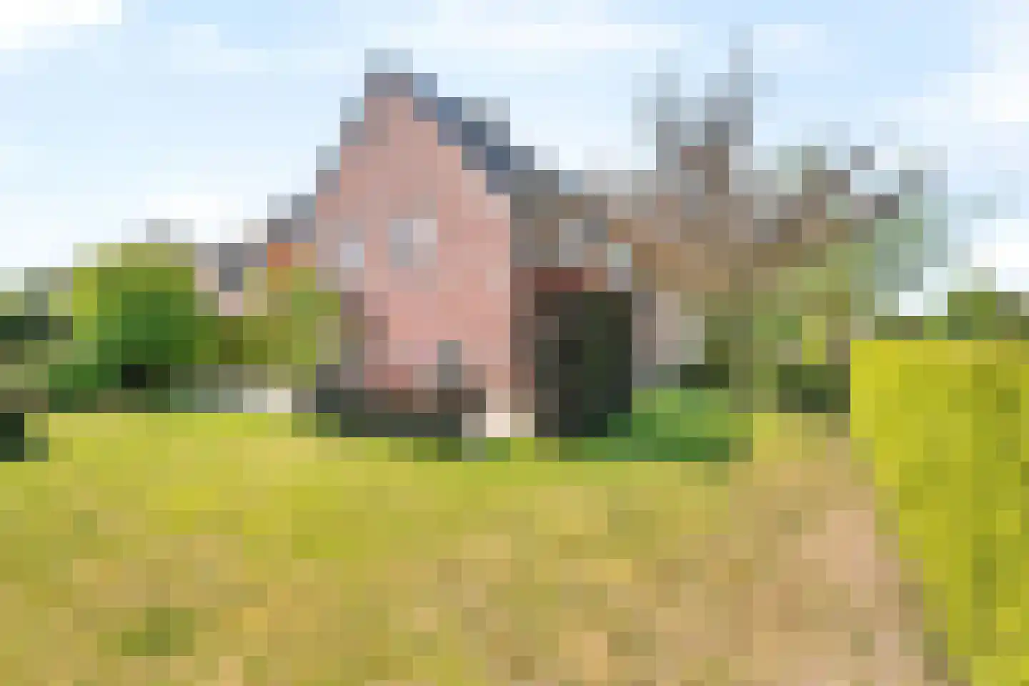 Grens 13 Baarle-Nassau thumbnail 34