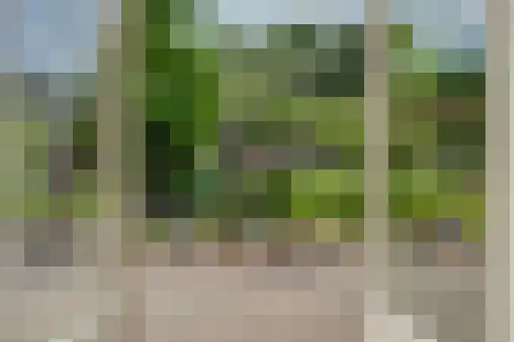 Grens 30 a Baarle-Nassau thumbnail 19