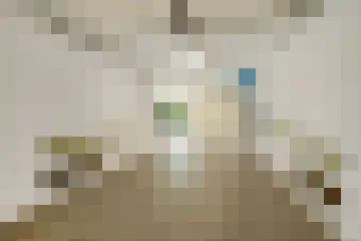 Grens 30 a Baarle-Nassau thumbnail 25