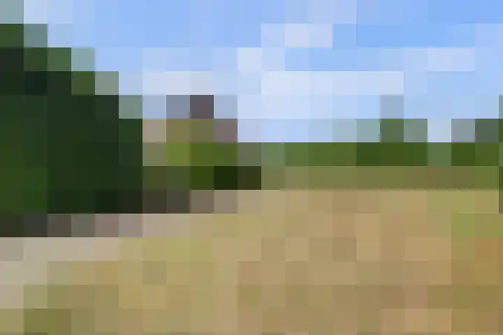 Grens 30 a Baarle-Nassau thumbnail 52