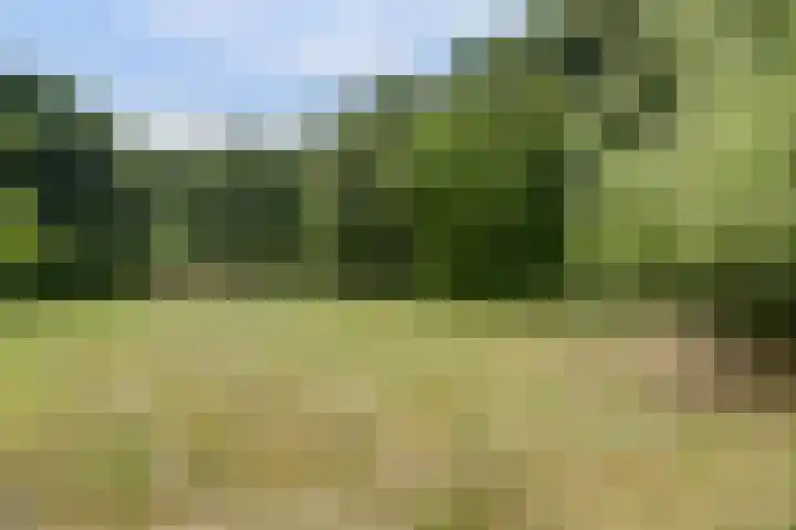 Grens 30 a Baarle-Nassau thumbnail 57
