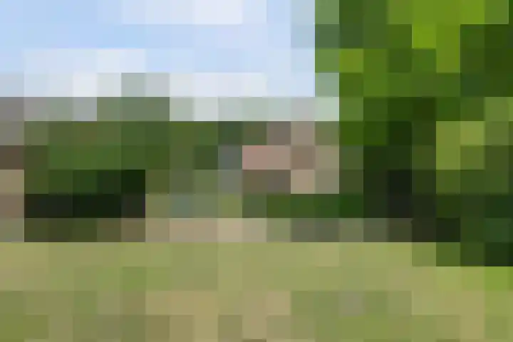 Grens 30 a Baarle-Nassau thumbnail 58