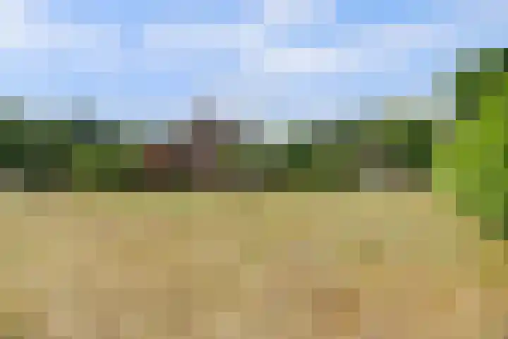 Grens 30 a Baarle-Nassau thumbnail 6