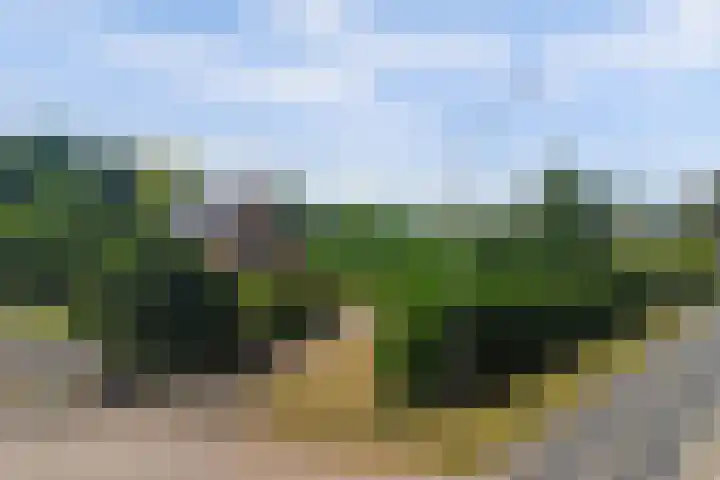 Grens 30 a Baarle-Nassau thumbnail 66