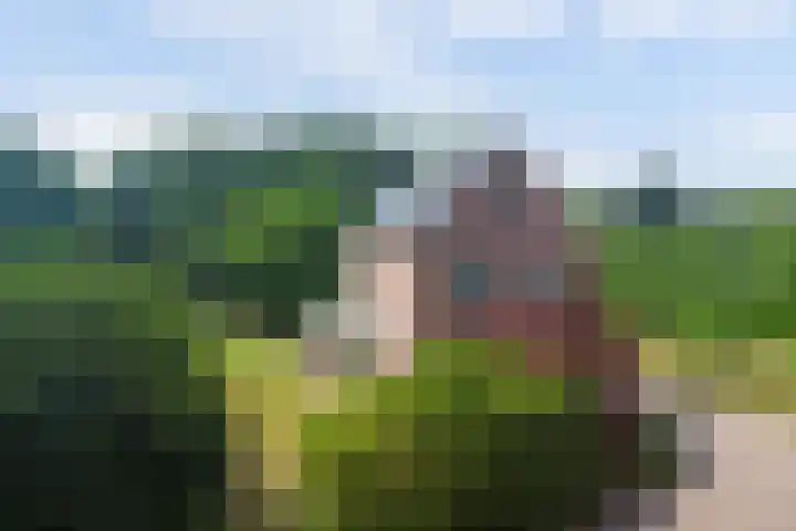 Grens 30 a Baarle-Nassau thumbnail 67