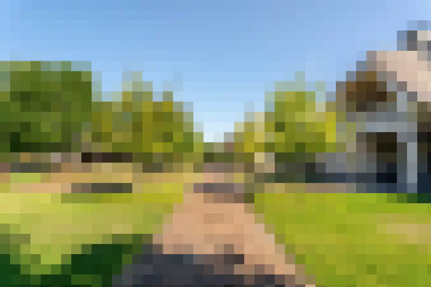 Grens 30 c Baarle-Nassau thumbnail 102