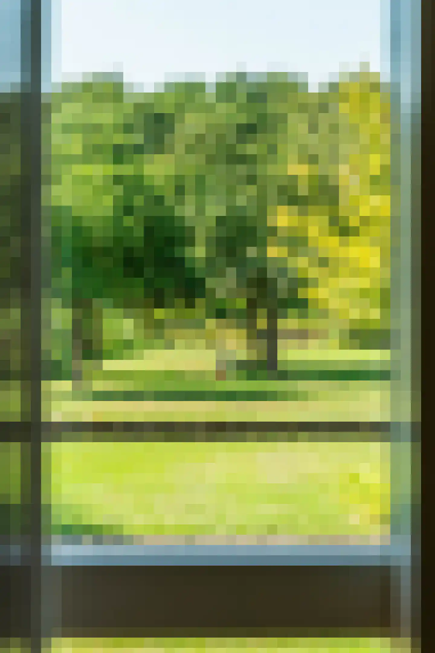 Grens 30 c Baarle-Nassau thumbnail 25