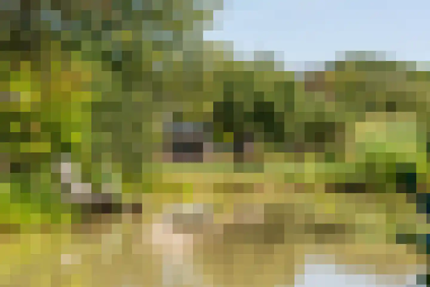 Grens 30 c Baarle-Nassau thumbnail 93