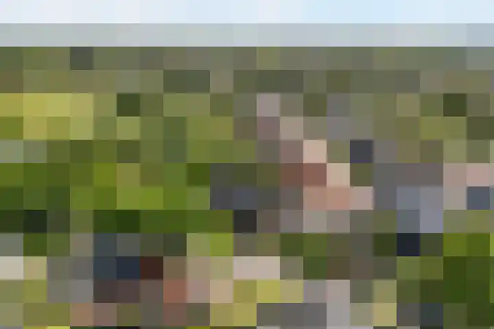 Grenslaan 2 Zwolle thumbnail 21