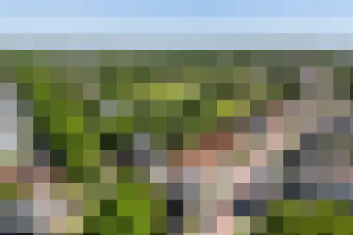 Grenslaan 2 Zwolle thumbnail 22