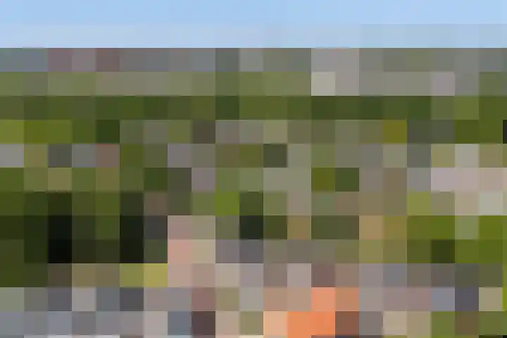 Grenslaan 2 Zwolle thumbnail 23