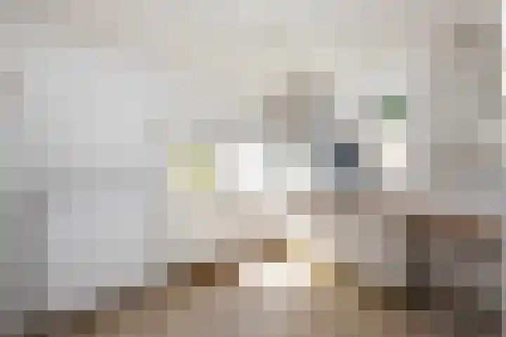 Grenslaan 2 Zwolle thumbnail 9