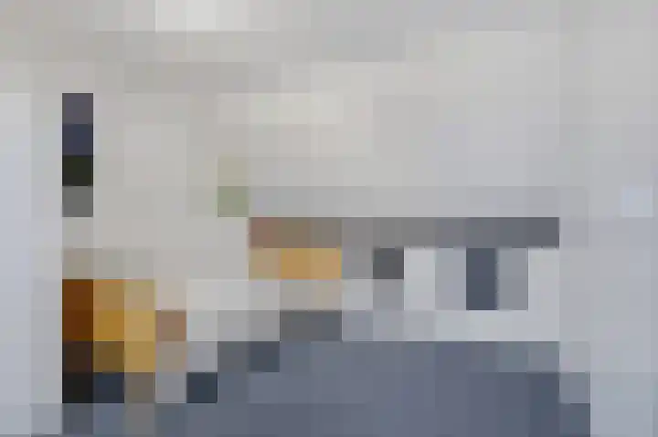 Grensoord 9 Breda thumbnail 34