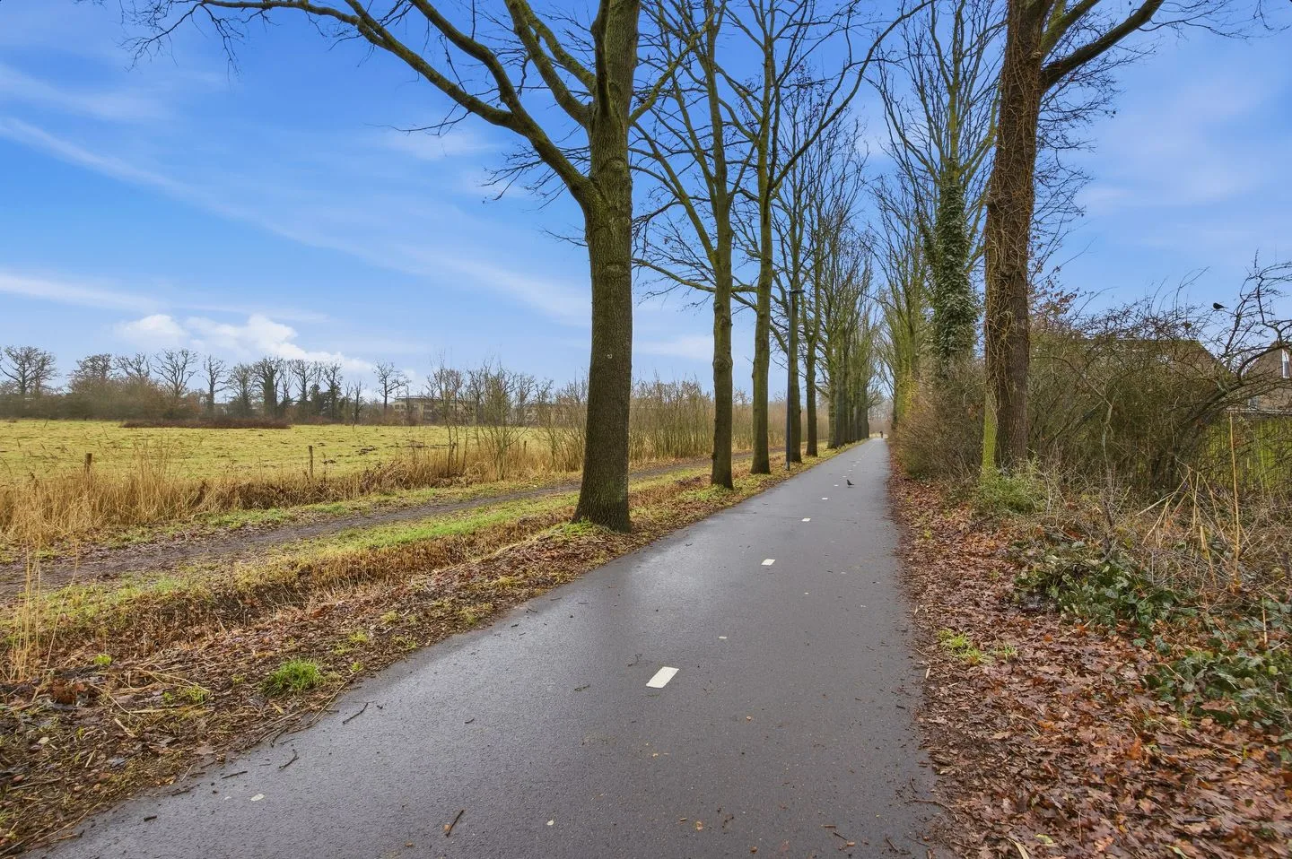 Grensoord 9 Breda thumbnail 38