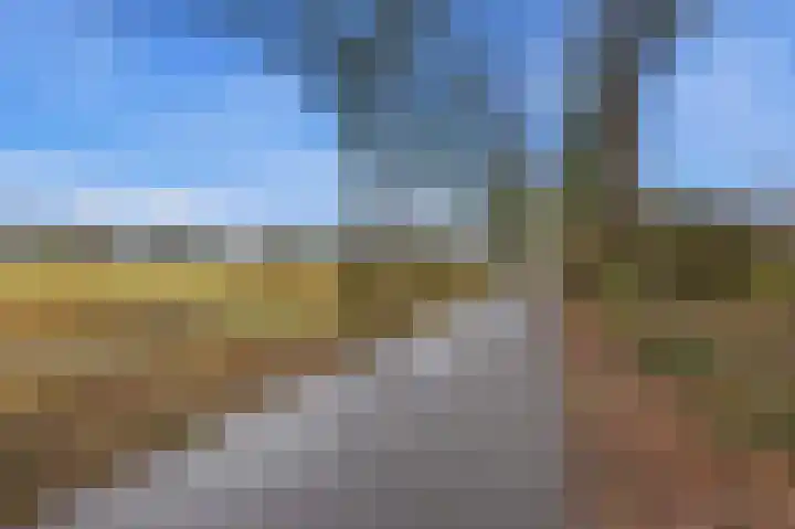 Grensoord 9 Breda thumbnail 38