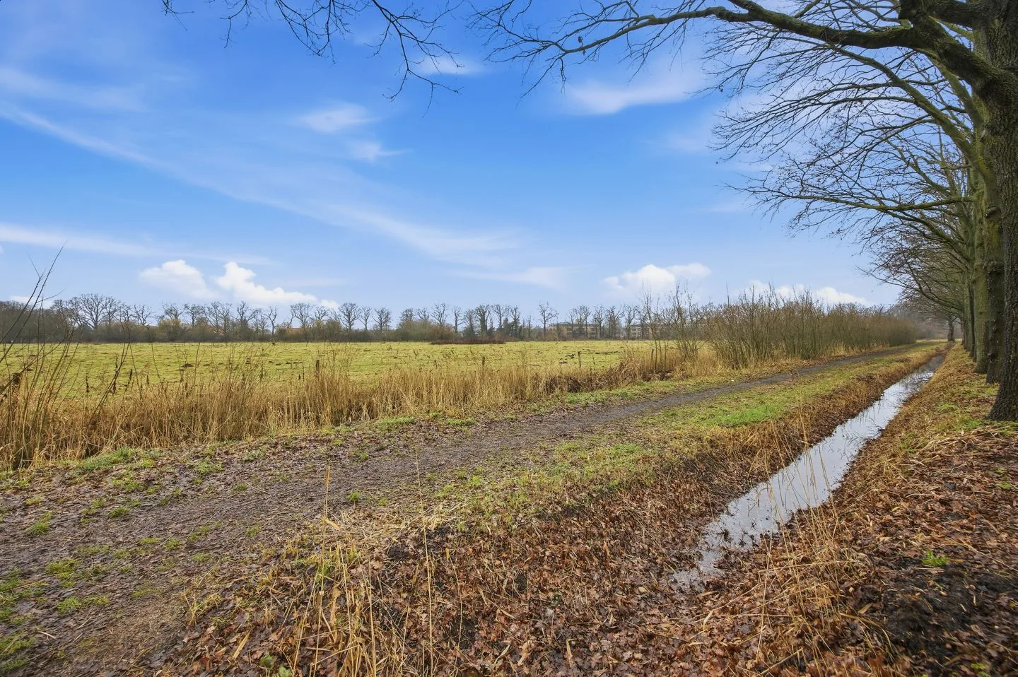 Grensoord 9 Breda thumbnail 39