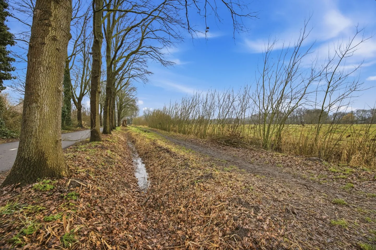 Grensoord 9 Breda thumbnail 40