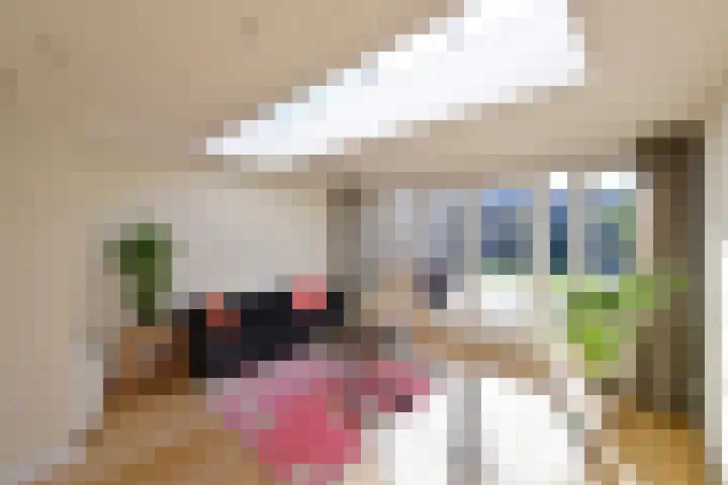 Grenspad 22 Huizen thumbnail 7