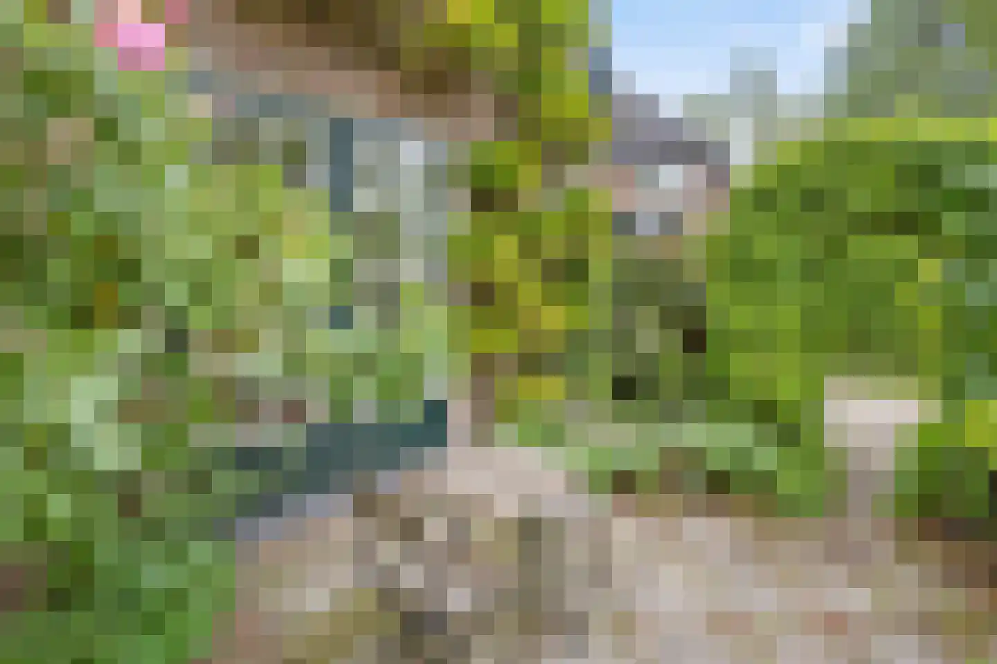 Grenspad 32 Huizen thumbnail 4