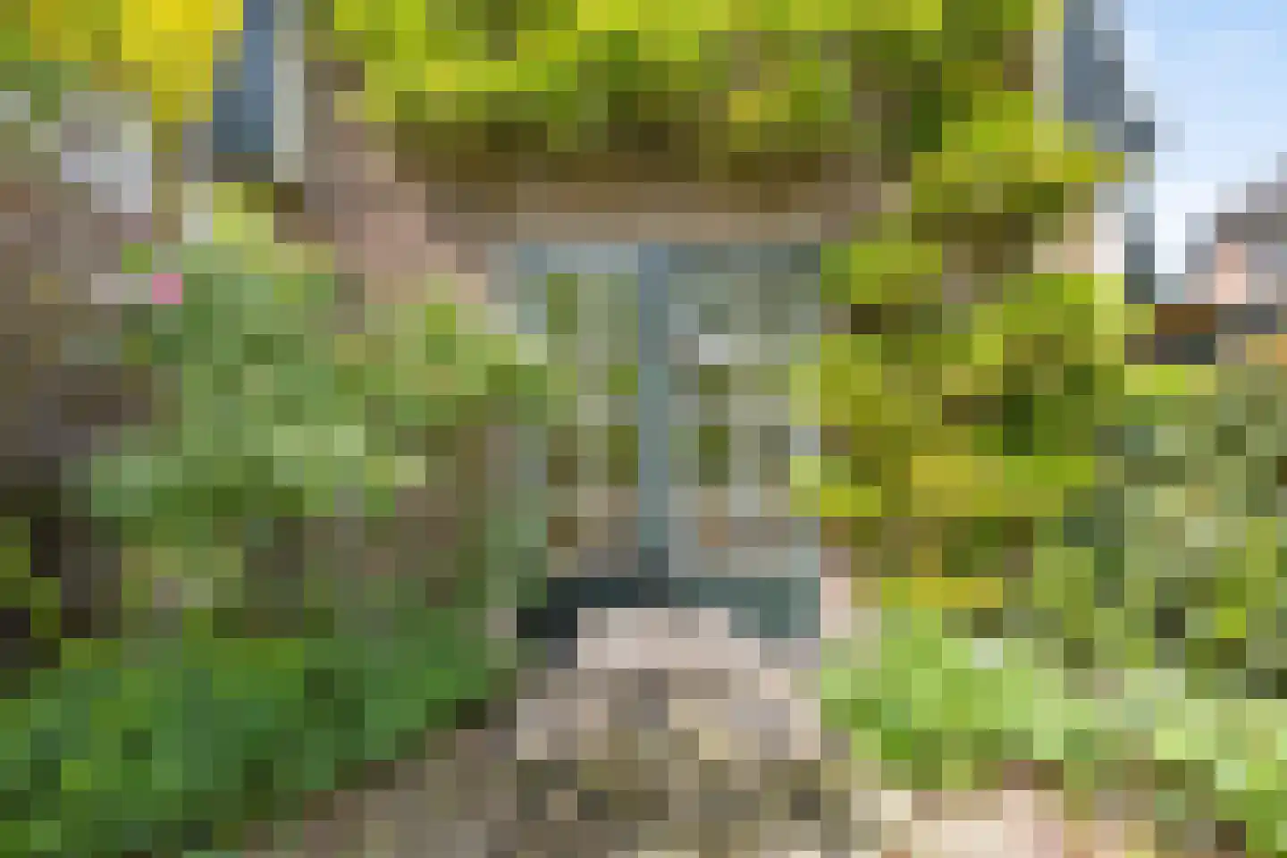 Grenspad 32 Huizen thumbnail 5