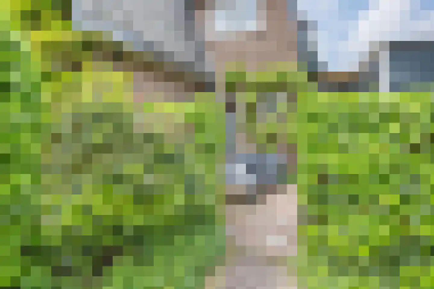 Grenspad 32 Huizen thumbnail 6
