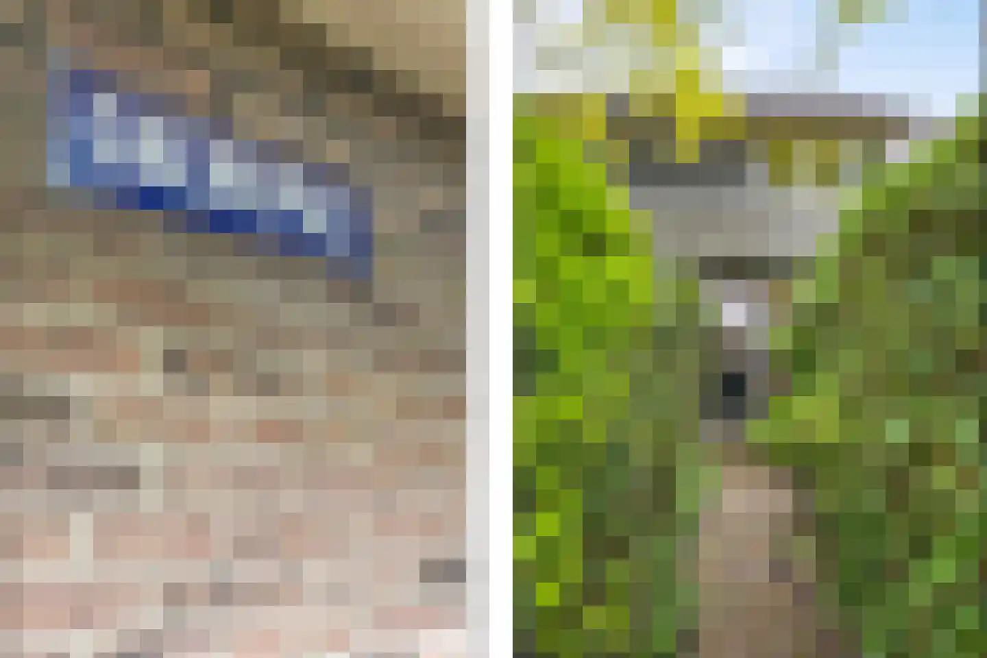 Grenspad 32 Huizen thumbnail 7