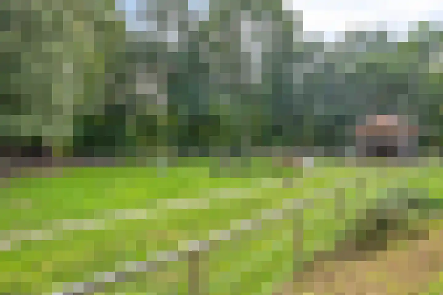 Grenspolder 47 Amersfoort thumbnail 33