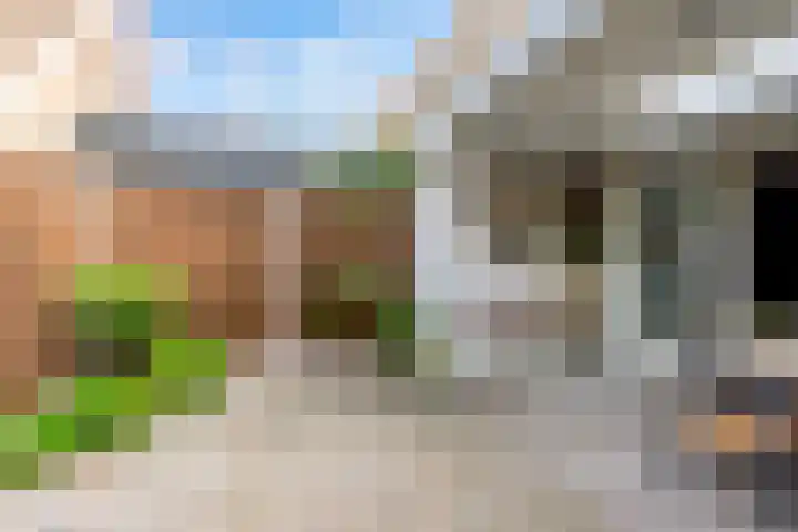 Grenssteen 19 Zeeland thumbnail 33