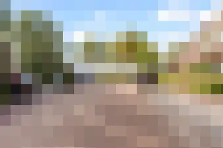 Grenssteen 19 Zeeland thumbnail 35