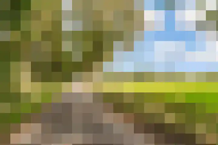 Grenssteen 19 Zeeland thumbnail 37
