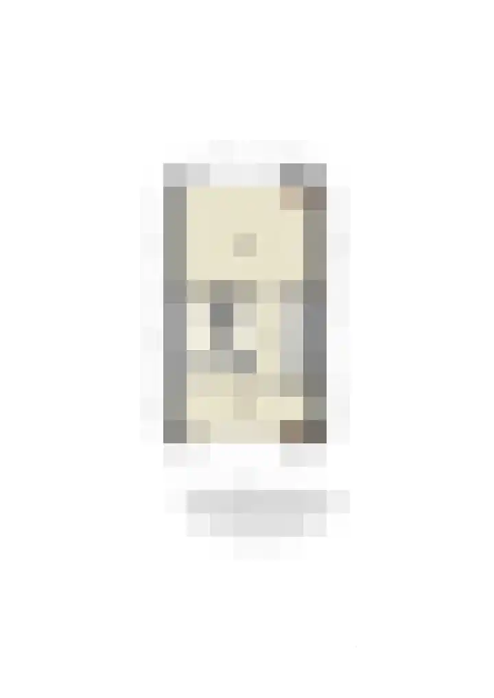 Grenssteen 19 Zeeland thumbnail 39