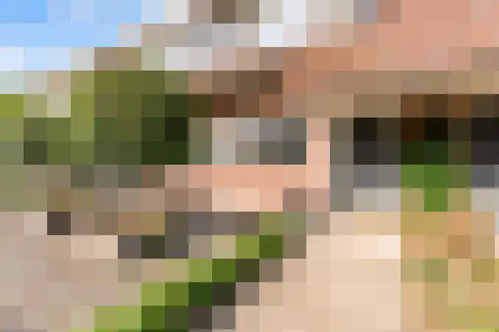 Grenssteen 19 Zeeland thumbnail 5