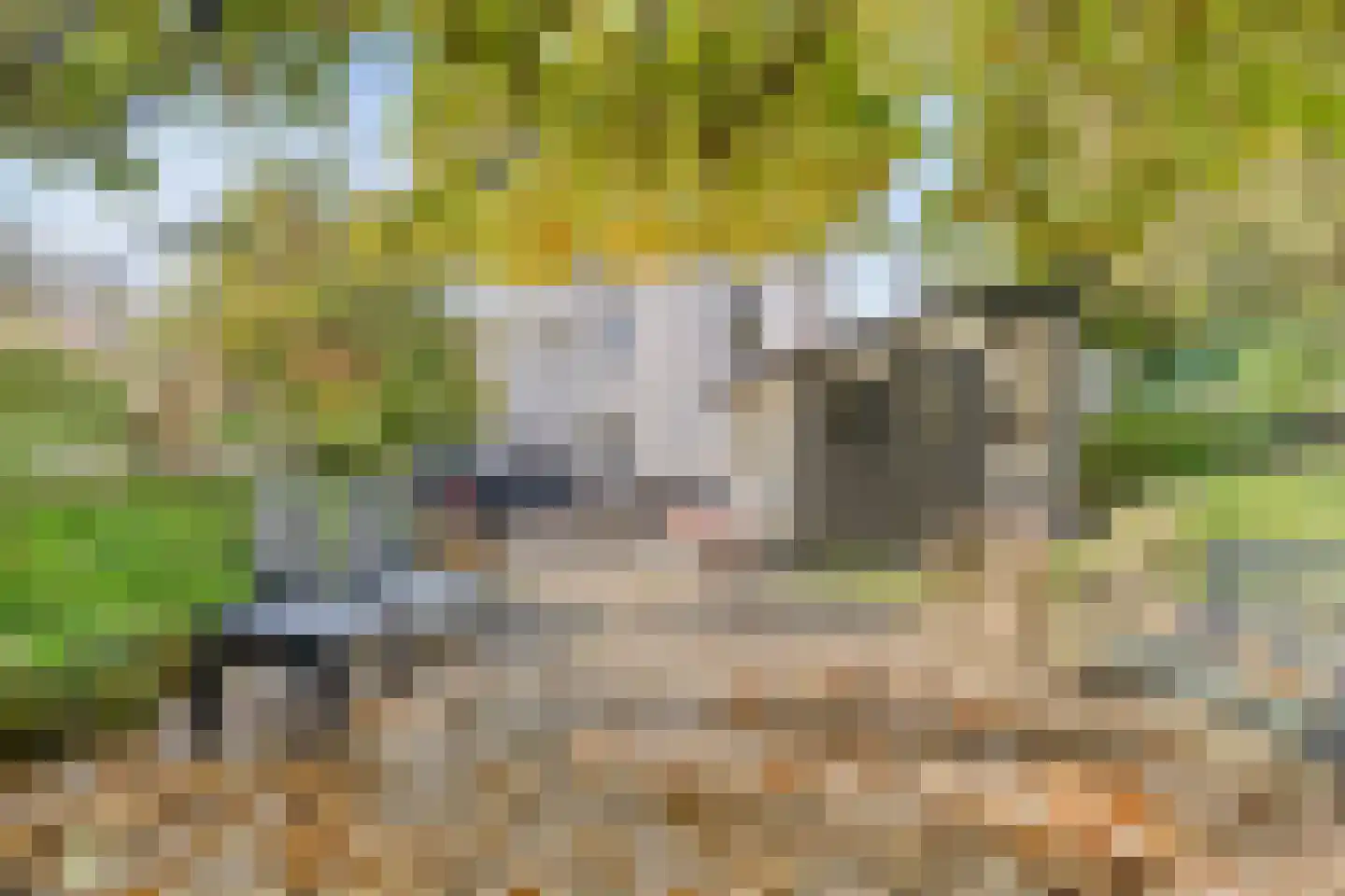 Grensstraat 1 Landgraaf thumbnail 34